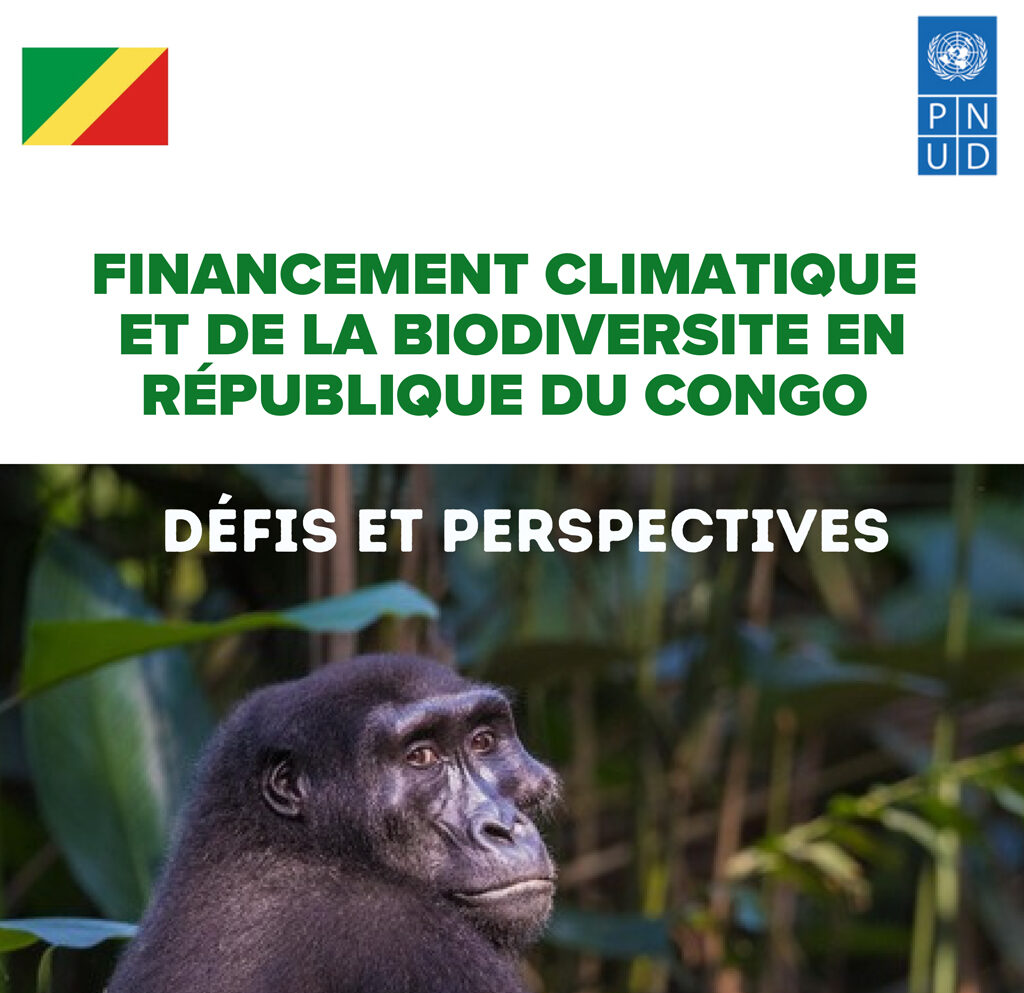 Financement climatique et de la biodiversité en République du Congo : Défis et perspectives