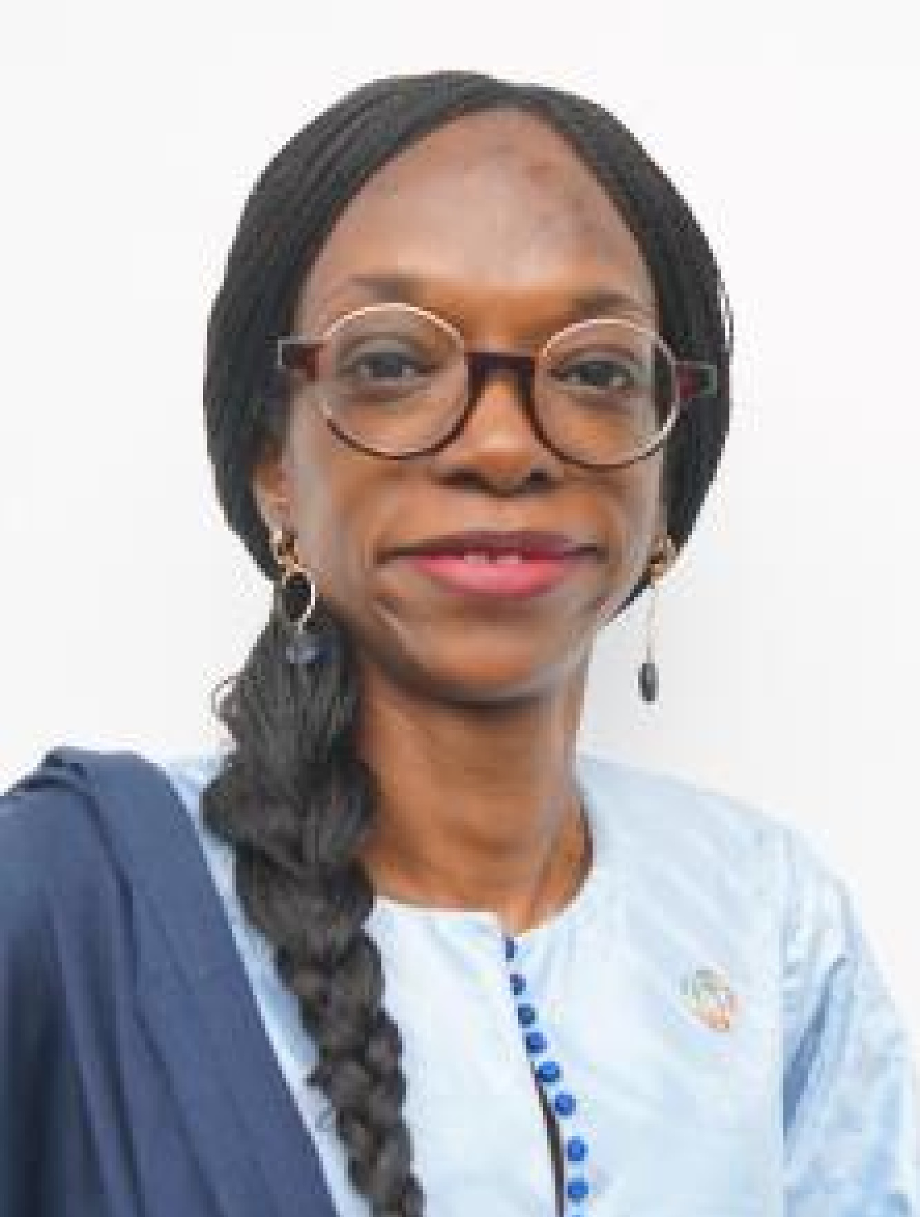 Adama Dian Barry Rep UNDP2 Adama Dian Barry Rep UNDP2