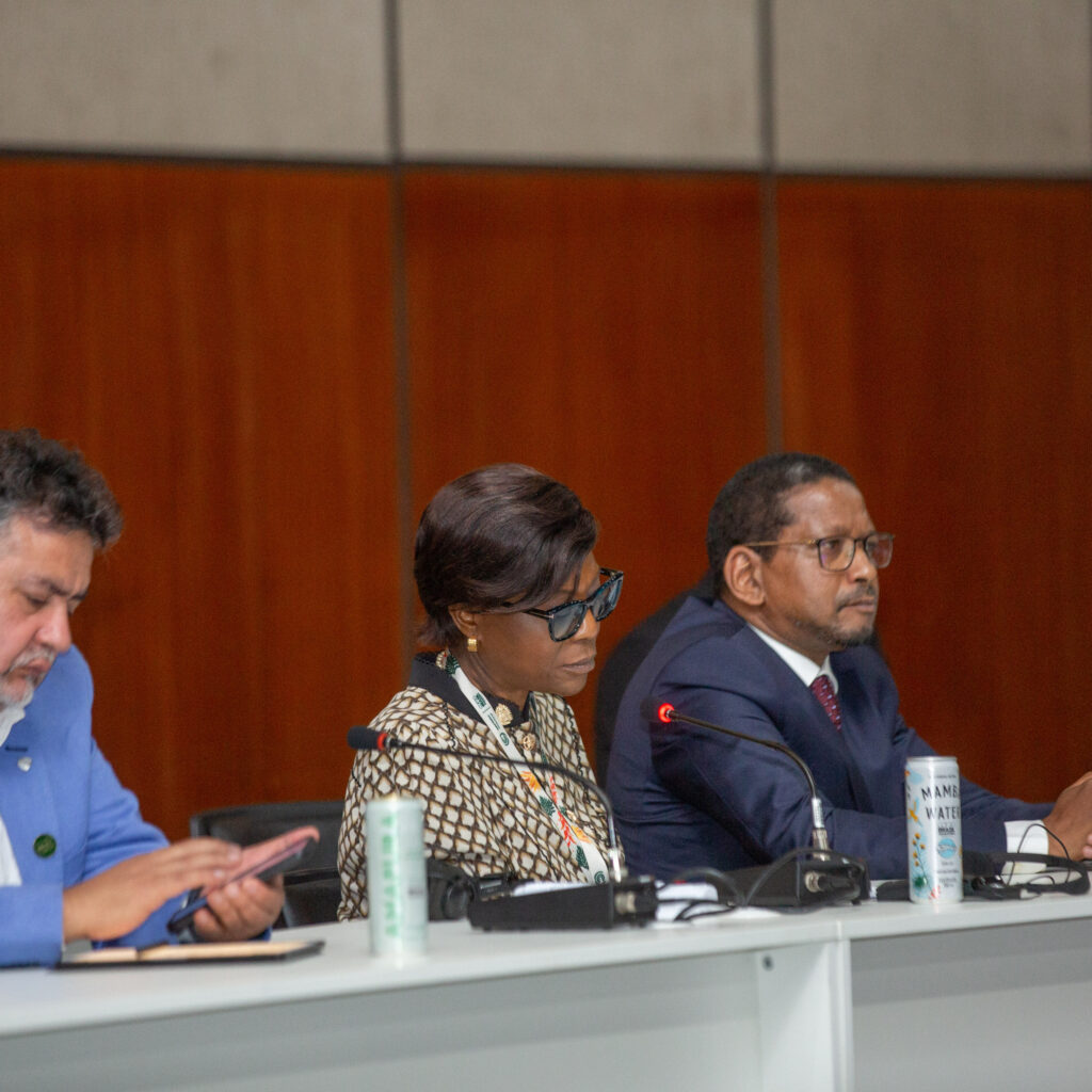 En marge de la COP30, la Ministre Soudan-Nonault a participé à un événement parallèle diplomatique et scientifique sur la transition climatique En marge de la COP30, la Ministre Soudan-Nonault a participé à un événement parallèle diplomatique et scientifique sur la transition climatique