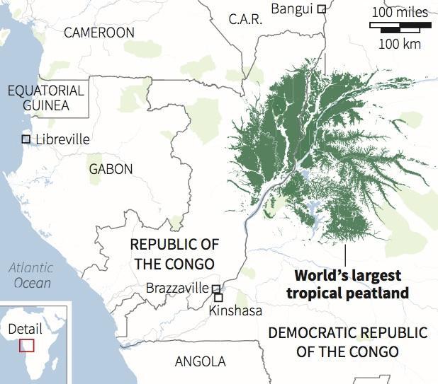 Les Tourbières de la Cuvette Centrale – un patrimoine mondial au cœur de la République du Congo